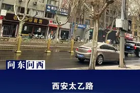 问东问西 | 西安太乙路一路口立杆上挂了30多个摄像头？路人：这也太炸裂了#监控摄像头  #西安同城视频封面