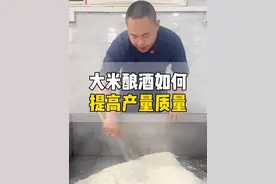 大米酿酒如何提高产量质量 #酿酒技术 #自制甜酒酿 #大米 #酿酒人视频封面