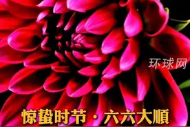 惊蛰时节，六六大顺！今天是农历二月初六，惊蛰已至，祝愿您和家人好运连连，福运满满视频封面