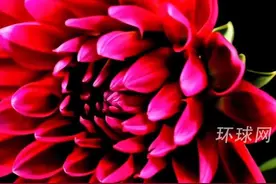 惊蛰时节，六六大顺！今天是农历二月初六，惊蛰已至，祝愿您和家人好运连连，福运满满视频封面