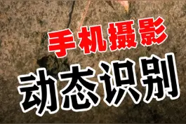 华为手机摄影强在哪？不是专业模式，它特有的动态识别功能你会玩吗？#慢动作 #华为手机技巧 @抖音短视频 @DOU+小助手 视频封面