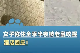 女子称住全季酒店半夜被老鼠咬醒，投诉人：酒店愿赔5000元，同时要求不得以任何形式透露本次事件被拒绝！（青岛广电解码新闻）#大象主播说视频封面