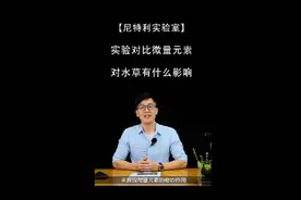 真实实验对比微量元素对水草的影响【尼特利实验室】#水草缸视频封面