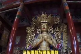 汉传佛教与藏传佛教，有哪些区别？ #传统文化 #知识 #老六师傅视频封面