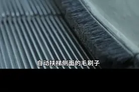自动扶梯侧面的毛刷子，到底是用来干什么的呢？#2022科普时刻 @抖音博士团 #扶梯停了为什么不能走 