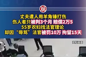 丈夫遭人用羊角锤打伤，伤人者只被判3个月、赔偿2万5 55岁农妇找法官理论，却因“辱骂”法官被罚10万、拘留15天