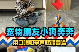 轩轩的新宠物朋友小狗奔奔，这召唤方式好奇特啊 #益智玩具 #早教