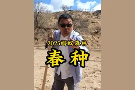 今天是第56个世界地球日，我在河北丰宁与你一起见证绿色奇迹！#蚂蚁森林种下第6亿棵树 #世界地球日 #蚂蚁森林视频封面