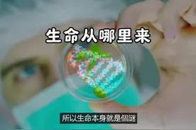 生命起源，地球上的生命究竟是如何產生的 生命起源视频封面