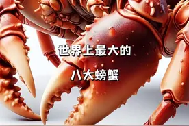 世界上最大的几种螃蟹，哪一个才是你心中的巨无霸？ #螃蟹视频封面