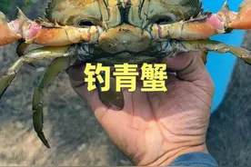 为了不被蛇咬，我们选择白天去红树林钓青蟹 #青蟹  #dou来广东百千万 #自然奇境科普季  #自然给你点颜色看看 #万物皆可种草搜视频封面