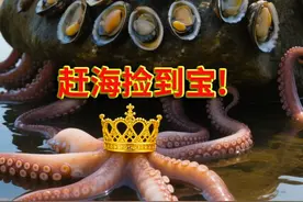 小章趁台风没来之前去赶海！果然抓到好多潜伏在海滩上的活海鲜！