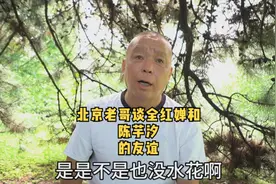 北京老哥谈全红婵和陈芋汐的友谊，直言不讳，说出心里话视频封面