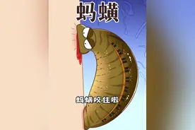 吸人血的蚂蟥居然也能拿来爆炒？ #轻漫计划 #抖音美好食光  #不一样的美食视频封面