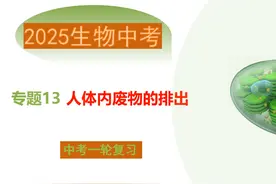 2025生物中考总复习——人体内废物的排出 #线上小课堂 #必考考点视频封面