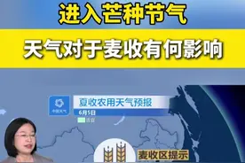进入芒种节气 天气对于麦收有何影响#麦收 #芒种 #天气视频封面