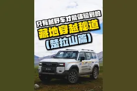 用全新丰田普拉多250极限穿越藏地秘道视频封面