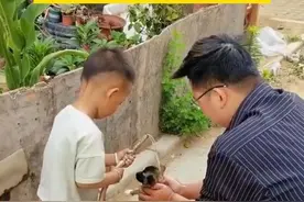 #河南dou知道6月19日，河南郑州。流浪狗被投喂火腿肠，拼命追车2公里被带回家。宝妈：救一只狗改变不了，但它的世界从此被改变 。#万物皆有灵性 视频封面