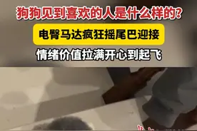 近日，江西抚州。狗狗见到喜欢的人是什么样的？电臀马达疯狂摇尾巴迎接，情绪价值拉满开心到起飞。 #狗狗电臀马达疯狂摇尾巴迎接主人视频封面