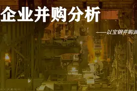 【产业经济学】企业并购案例分析-以宝钢并购武钢为例#视频封面
