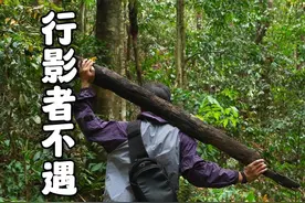 取蜂蜜很危险的一次，朋友直接被蛰了二十多针 今天下午六点直播，水水水水一场直播哈哈哈哈哈哈哈哈哈视频封面