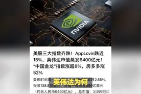 英伟达中国市场收入持续增长，2025Q3达54亿美元 #科技 #芯片视频封面