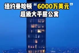 亿万富翁的世界最高住宅，纽约曼哈顿6000万美刀超级大平层公寓，可俯瞰整个曼哈顿市中心，尽显奢靡与繁华。#纽约 #曼哈顿 #豪宅 #视觉盛宴视频封面