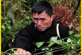 苗医千年传奇，八代单传被世人称为华佗再世，专治疑难杂症