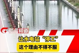 提前蓄水，这条水渠救了一方百姓#旱情 #上林#水稻种植 #水利 #广西dou知道视频封面