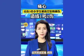 痛心！3名小学生被高空坠物砸伤 造成1死2伤 山东官方通报 视频封面