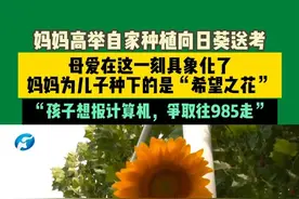 妈妈高举亲自种植的向日葵送考！6月8日，河南郑州一处高考考点，一位妈妈专门种下向日葵，给儿子送考。希望儿子能放平心态面对高考，一举夺魁！母爱在这一刻具象化了！#媒体精选计划  #青春的答案  #2025高考视频封面