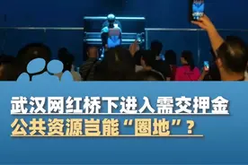 免费的桥，变成“付费的局”？武汉网红桥下进入需交押金，公共资源岂能“圈地”？#大象主播说