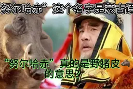 “努尔哈赤”是野猪皮的意思？这个名字是蒙古语？ 大家好