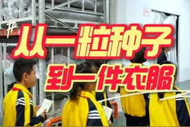 “从一粒种子到一件衣服”课程实践日记#小学 #研学 #服装视频封面