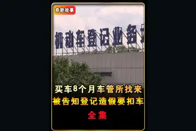 被车管所坑了40万，买车后8个月被告知登记手续造假要扣车 #社会百态视频封面