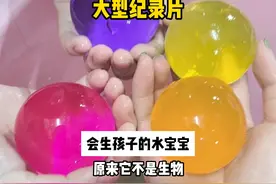 #水宝宝 #童年玩具 #宠物 #少年 直到现在我才知道视频封面