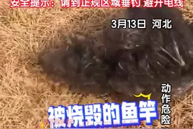 3月13日，河北北湖公园。网友发视频称一位男子河边钓鱼，鱼竿碰到高压线瞬间冒起白烟，男子被电倒地，鱼竿也被烧成丝状。所幸有路人经过，及时叫来医生。经检查，男子除面部烧伤外无大碍。安全提示：请到正规区域垂钓，避开电线。视频封面
