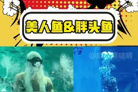 突然就能分清楚美人鱼和儒艮了#美人鱼 #帅哥 #搞笑 #万万没想到视频封面