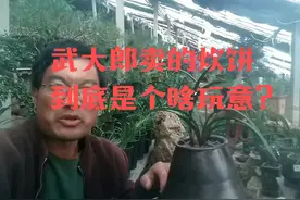 武大郎卖的炊饼，到底是个啥玩意？ #社会百态 #知识分享 #拉呱视频封面