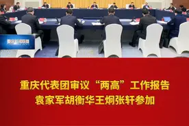 重庆新闻联播 | 两会专递 · 重庆代表团审议“两高”工作报告 #第1眼看2025全国两会视频封面