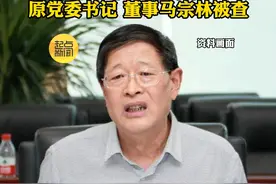 涉嫌严重违纪违法 中国电力建设集团有限公司 原党委书记 董事马宗林被查视频封面