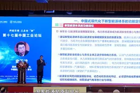 史玉波：新型能源体系建设，对保障能源安全非常重要#能源安全 #新能源 #进口视频封面