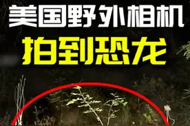 美国野外相机拍到恐龙？是真的吗？ #恐龙 #奇闻奇事 #未解之谜视频封面