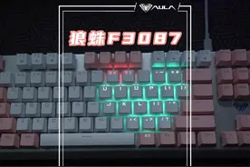 狼蛛87键，灯光不知道怎么设置的可以看过来#键盘 #机械键盘