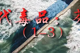 #禁毒科普 第三代毒品：芬太尼，镇静效果是吗啡100倍的它，到底是治病的“药”还是致命的“毒”？#禁毒 #禁毒宣传视频封面