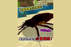 我的世界生存必备模组！一口一个大蟑螂！蛋白质是牛肉的六倍！
