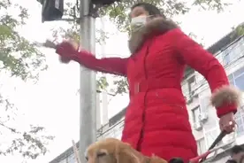 你知道吗 导盲犬其实不是狗 它能带路 避障碍 看车流 它是眼睛 是家人。（记者：新华）