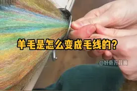 羊毛是怎么变成毛线的？ #科普 #解压 #纺织 #加工 #抖音知识年终大赏