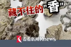 藏不住的"香"！#深圳海关查获沉香木及其制品 16.4千克视频封面