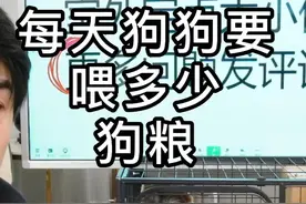 每斤体重每天应该吃多少狗粮？ #幼犬如何喂养 #科学养宠攻略